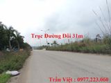 Bán Lô A1 Kđt Cao Xanh, Hà Khánh A Trục 31M. Dt: 375M2, Mt: 15M.