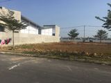 Kẹt Tiền Bán Gấp Đất Bình Chánh Giá Rẻ, Sổ Hồng Riền, Cơ Sở Hạ Tầng 100% Bao Sang Tên Công Chứng