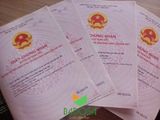 Sỡ Hữu Ngay Đất Nền Trung Tâm Thủ Dầu Một Bình Dương Lh : 0986773677
