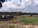 Đất Nền Dự Án Long Phước Centerpark Li