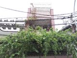 Bán Nhà Mặt Tiền 179 Nguyễn Đình Chính, P.11, Phú Nhuận. Dt: 3.5X20M, 3 Lầu, Giá 12,5Tỷ