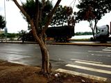 Đọc Tin Này Trước Khi Đặt Chỗ Homeland Central Park - Dự Án Hot Nhất Tại Trung Tâm Quận Liên Chiểu
