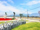 Mở Bán Đất Nền Quận Liên Chiểu Trục Đường Thông Biển, Nhận Đặt Chổ 100Tr/nền