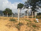 Bán Đất Đường Khu Quy Hoạch An Sơn, Phường 4, Đà Lạt - Dt 208,1M2 - Giá 5,2 Tỷ Đ2448