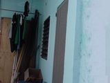 Bán Nhà 1 Trệt 1 Gác Gỗ 2,38 Tỷ 3.5X10 Công Nhận 35M Lạc Long Quân P8 Tân Bình 0965131607 Hoài Tộc