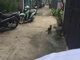 Cần Bán Gấp Căn Nhà 382 Thị Trấn Nhà Bè - Giá 2.3 Tỷ, Thương Lượng Nhẹ.