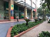 Quy Mô Dự Án Golden King - LH: 0934 074 394
