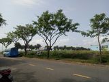 Cần Bán Đất Đường Vũ Ngọc Nhạ - Đầu Tuyến Sơn Trà-Điện Ngọc