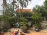 Bán Nhà Tại Long Sơn - Vũng Tàu