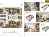 Đặc Điểm , Chính Sách Ưu Đãi Khi Mua Căn Hộ Penthouse Tại Golden King