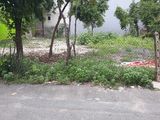 Bán Đất Biệt Thự Đường Đăng Văn Bi - Thủ Đức