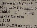 Đất 7300M2 Xã Bình Chánh Chỉ 2,5Tr/m2, Shr. Lh: 0948.24.1719