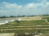 Khu Đất Nền Khu Công Nghiệp Điện Ngọc - Quảng Nam
