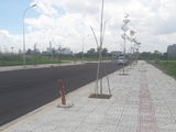 Siêu Hot,Siêu Khủng!Đất Mặt Tiền Đường Bùi Văn Sự,Bình Chánh,Diện Tích:1900M2,Giá 2,9 Tỷ