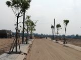 Thua Độ Đá Banh Cần Ra Đi Gấp 3 Lô Đất Nền