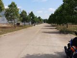 Bán Đất Bến Cát Bình Dương