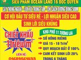 Đất Nền Phú Quốc ,Mặt Tiền Cây Thông Ngoài , Giá Rẻ Chỉ Từ 15Tr/m2, Sỏ Hồng Riêng