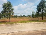 Tôi Cần Tiền Nên Bán Nhanh 300M2 Chính Chủ Thổ Cư 100%l