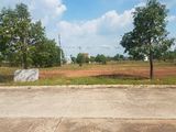 Cần Vốn Kinh Doanh, Bán Gấp 300M2 Đất Thổ Cư, Sổ Hồng Riêng, Gần Quốc Lộ 13, Dân Cư Đông Đúc