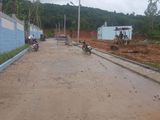 Cần Ra Đất Nền Ngay Đường Cây Thông Ngoài, Vị Trí Cực Đẹp