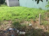 Đất Thanh Lý Mùa Wc, 300M2, Giá 790 Triệu, Đất Bến Lức, 0931.535.574