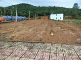 Đất Nền Mặt Tiền Cây Thông Ngoài Sổ Riêng, Pháp Lý Nhiều Tiện Ích