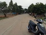 Bán Đất Nền Chính Chủ Bình Dương, Giá Rẻ Nhất Thị Trường