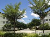 Biệt Thự Đẳng Cấp, Sang Trọng Khuôn Viên Đẹp Không Khí Trong Lành