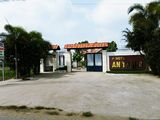 Bán Lô Đất Mặt tiền Trần Văn Giàu Ngay Chợ Bà Lạt