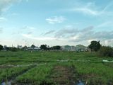 Bán Đất Thổ Cư Đường Nguyễn Thị Tú
