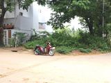 Bán Nền Gốc Khu CIC8 Vị Trí Cực Đẹp/ Thương Lượng Chính Chủ
