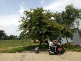 Còn Những Trận Cuối Cùng Của World Cup,cần Thanh Lý Nhanh Lô Đất 150M2