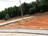 Bán Đất Cây Thông Ngoài, Xã Cửa Dương, 108M2 Giá 1.6Tỷ, Sổ Hồng Riêng