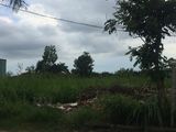 Cơ Hội Quá Tốt Để Sở Hữu Ngay Lô Đất Đẹp 109M2 Thổ Cư Giá 19Tr/m2, Trung Tâm Nhơn Đức, Nhà Bè