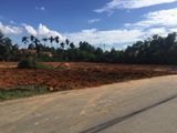 Đất Nền Sân Golf Long Thành, Giá Đầu Tư