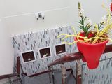 Bán Nhà 1 Trệt 1 Lầu Kdc Hưng Phú Đối Diện Chung Cư