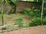 Cần Bán Gấp Lô Đất Chính Chủ Sổ Đỏ Tại Quang Minh Mê Linh Hn