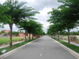 Bán Lô Đất Mặt Tiền Nguyễn Duy Trinh Q.9 Giá 15Tr/M2, Shr,Xây Dựng Tự Do