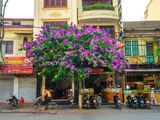 Cho Thuê Vị Trí Đẹp Nhà Mặt Phố Đường Cầu Đất Dt: 100M2, 4 Tầng