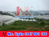 Bán Đất Đường Trần Đại Nghĩa, Phường 8, Đà Lạt Giá 3.25 Tỷ. Lh: 0947 981 166