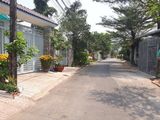 Bán Đất Hẻm 269 Nguyễn Thị Minh Khai, Phường Phú Hòa, Thủ Dầu Một, Bình Dương