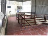Cho Thuê Nhà Phố Kim Ngưu,quận Hai Bà Trưng Giá 10 Triệu/Tháng