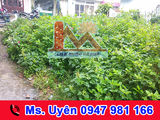 Bán Đất Đường Phan Đình Phùng, Phường 2, Đà Lạt Giá 3.6 Tỷ. Lh: 0947 981 166