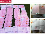 Đất Nền Bình Chuẩn, Chiết Khấu Khủng 8% + 2 Cây Vàng, 12-24 Tháng Có Sổ Hồng Từng Nền, 0968844912