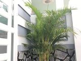 Bán Nhà Mới Đẹp Dt: 87M2_Sổ Hồng