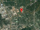 Đầu Tư Sinh Lợi Nhuận Cao