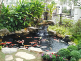 Tôi Đang Kẹt Tiền Muốn Để Lại Nhà Vườn 842M2 Sổ hồng riêng, Có 356M2 Thổ cư - Giá 2,7 Tỷ