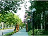 Cc Cao Cấp The Link Ciputra Tòa L3 Từ 3,4 Tỷ Căn 92M2, Hỗ Trợ 0% Nội Thất Cao Cấp. Lh: 0981.392.892