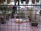 Bán Nhà Mặt Phố Cách Đường Tân Mai Đôi 100M, Q. Hoàng Mai Dt 74M2X4 Tầng, Lh 0987 224 911