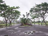Đất Biệt Thự Sông Hàn, Cơ Hội Sở Hữu Cuối Cùng, Giá Từ Chủ Đầu Tư